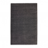 Moderner grauer schwarzer antistatischer Teppich für Wohnzimmereintritt Casacolora CCGRN Verkauf