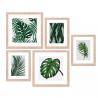 Set aus 5 gerahmten Bildern mit Blätterdruck Collage Frame Jungle Verkauf