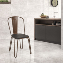 stühle stuhl aus stahl im Lix-stil für bar und küche ferrum one Kauf