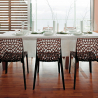 Stühle Küche Esszimmer Soleil Gruvyer Made in Italy