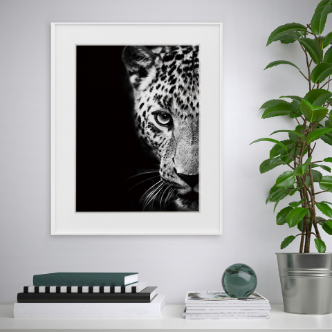 Schwarz-Weiß-Fotodruck von Tieren - Leopard 40x50 cm Variety Kambuku Aktion