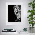 Schwarz-Weiß-Fotodruck von Tieren - Leopard 40x50 cm Variety Kambuku Aktion