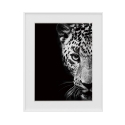 Schwarz-Weiß-Fotodruck von Tieren - Leopard 40x50 cm Variety Kambuku Verkauf