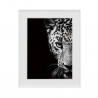 Schwarz-Weiß-Fotodruck von Tieren - Leopard 40x50 cm Variety Kambuku Verkauf