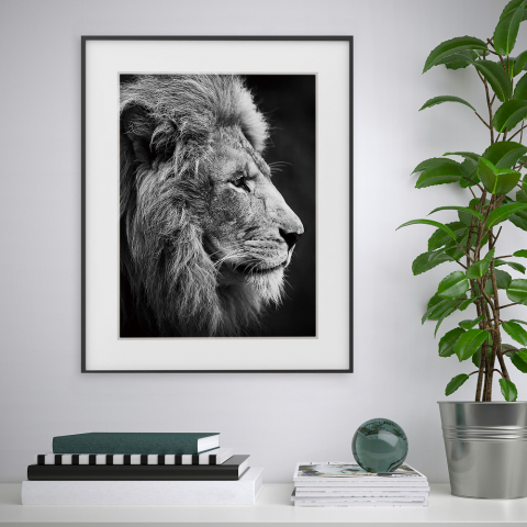 Leinwanddruck Schwarz-Weiß Löwe Tier 40x50cm Variety Aslan Aktion