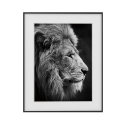 Poster Fotografie Bild schwarz-weiß Löwe Tiere 40x50cm Variety Aslan