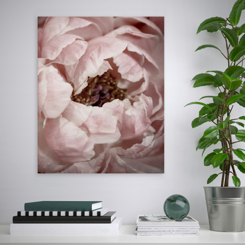 Blumenbild Naturthema mit Rahmen 40x50cm Variety Duwa Aktion