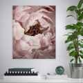 Blumenbild Naturthema mit Rahmen 40x50cm Variety Duwa Aktion
