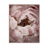 Blumenbild Naturthema mit Rahmen 40x50cm Variety Duwa Verkauf