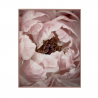 Druck Blumen Malerei Natur Thema Rahmen 40x50cm Vielfalt Duwa Verkauf