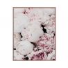 Floralprint-Bilderrahmen Natur Blumenmotiv 40x50cm Variety Luludi Verkauf