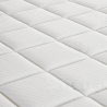 Orthopädische Matratze 18 cm in Waterfoam 160x190 Super Top Katalog