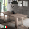 Ausziehbarer Design-Esstisch 160-210x90cm Ulmenholz Jesi Pearl Verkauf