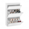Magic Bata M Platzsparender Schuhschrank mit 2 Klapptüren, 60cm, für 12 Paar Schuhe. Sales