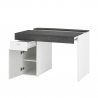 Schreibtisch mit Schiebefläche 100x60cm platzsparend für Homeoffice Sliding M Ardesia Sales