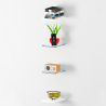 Set aus 4 Wandregalen Holz und Glas Design Wohnzimmer Joy Wall Aktion