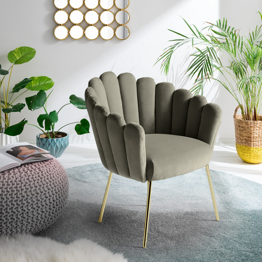  Calicis: sedia Muschelsessel modernes Design Samt goldene Beine
