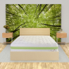 Memory Foam Matratze Einzel-Kingsize 120x190 cm antiallergisch 7 Zonen Leaf Plus Kauf