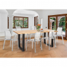 Set Esstisch Tisch 180x80cm 6 transparente Stühle Design industriell Vice Lagerbestand