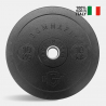2 x 10 kg Olympische Hantelscheiben Bumper Cross-Training Gummi HD Italy Verkauf