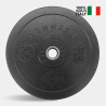 2 x 20 kg Olympische Hantelscheiben Cross Training Gummi Bumper HD Italy Verkauf