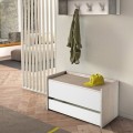 Moderner Design-Innenraum Truhe mit Schublade Aktion
