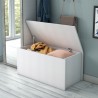 Schuhbank und Aufbewahrungstruhe für Flur oder Schlafzimmer Sales
