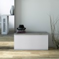 Eingangsbank mit Stauraum, Truhe für Schlafzimmer oder Wohnzimmer Aktion