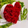 Pflanzenschriftzug Moos Lichene stabilisiert Herzdekoration Love