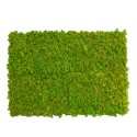 Stabilisierte Pflanzenplatten 4 Platten 60x40cm GreenBox Kit Flechten Katalog