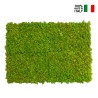 Stabilisierte Pflanzenplatten 4 Platten 60x40cm GreenBox Kit Flechten Angebot