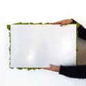 Stabilisierte Pflanzenplatten 4 Platten 60x40cm GreenBox Kit Flechten Sales