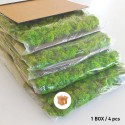 Stabilisierte Pflanzenplatten 4 Platten 60x40cm GreenBox Kit Flechten Maße