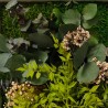 Pflanzenbilder Blumen stabilisierte Wandpflanzen ForestMoss Persephone Preis