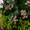 Pflanzenbilder stabilisiert Blumen Pflanzen Wand ForestMoss Persefone