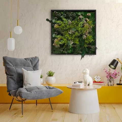Pflanzenbilder Blumen stabilisierte Wandpflanzen ForestMoss Persephone Aktion