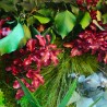 Pflanzenbilder stabilisiert Grün Vertikaler Garten Blumen ForestMoss Demetra